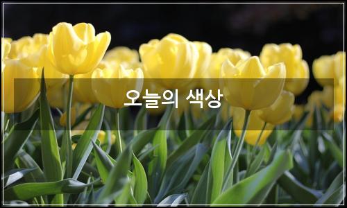 오늘의 이미지