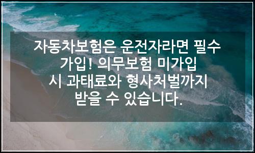 오늘의 이미지