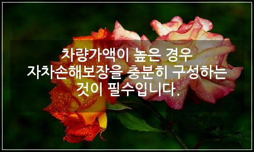 오늘의 이미지