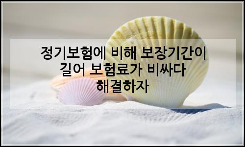 오늘의 이미지