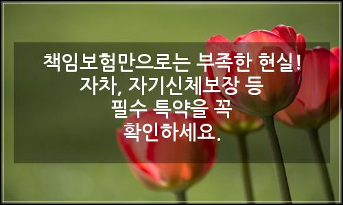 오늘의 이미지