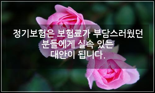 오늘의 이미지
