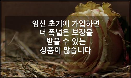 오늘의 이미지