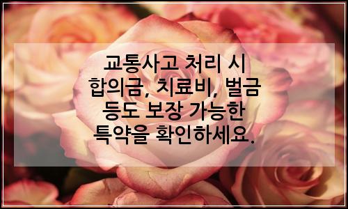 오늘의 이미지