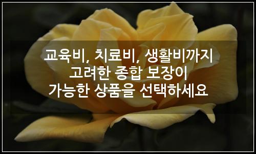 오늘의 이미지