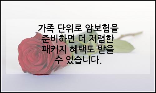 오늘의 이미지