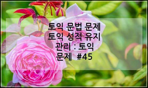오늘의 이미지