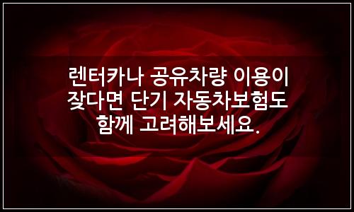 오늘의 이미지