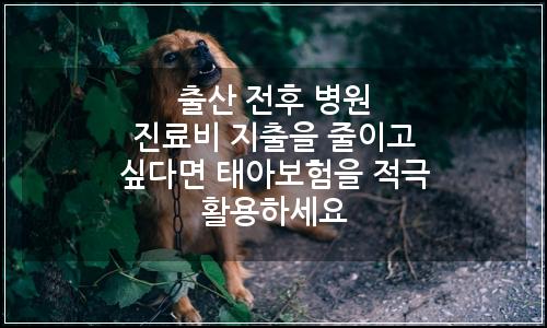 오늘의 이미지