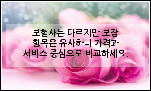 오늘의 이미지