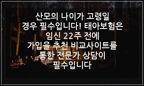 오늘의 이미지
