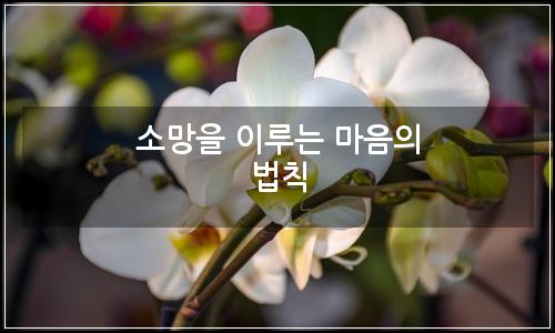 오늘의 이미지