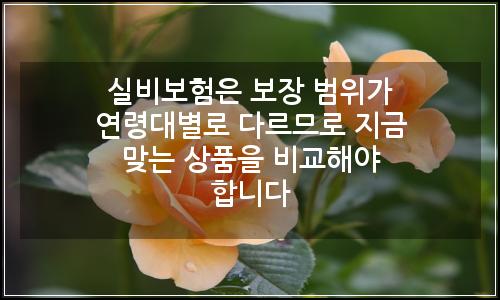 오늘의 이미지