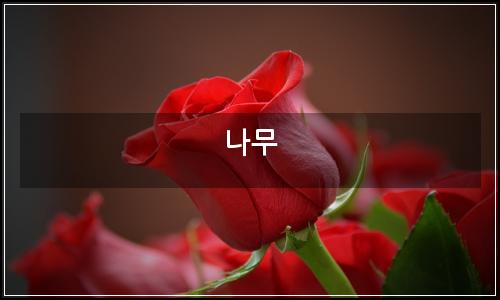 오늘의 이미지
