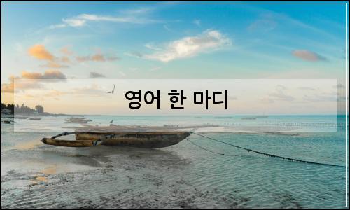 오늘의 이미지