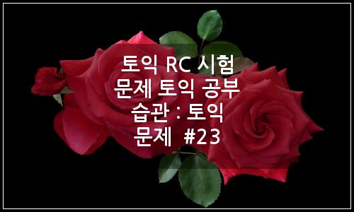 오늘의 이미지