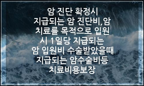 오늘의 이미지