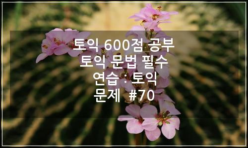 오늘의 이미지