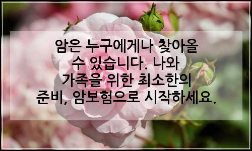오늘의 이미지
