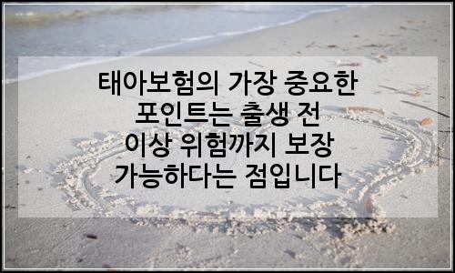 오늘의 이미지