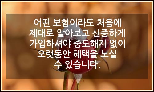 오늘의 이미지