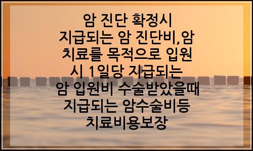 오늘의 이미지