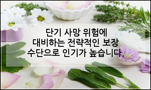 오늘의 이미지