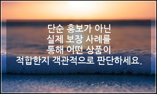 오늘의 이미지
