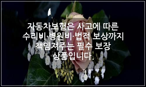 오늘의 이미지