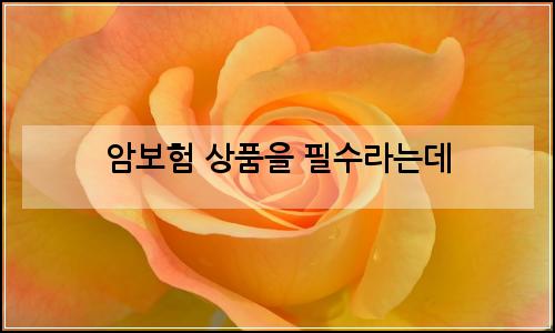 오늘의 이미지