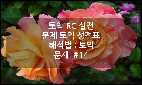 오늘의 이미지