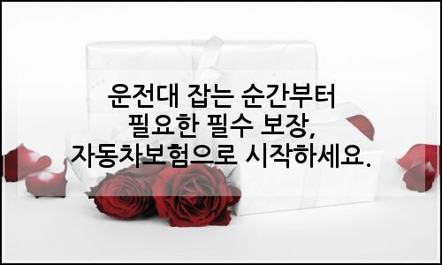 오늘의 이미지