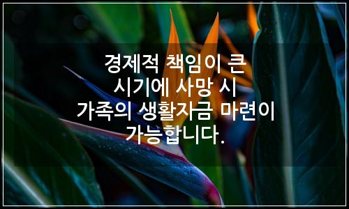오늘의 이미지