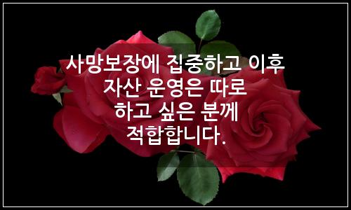 오늘의 이미지