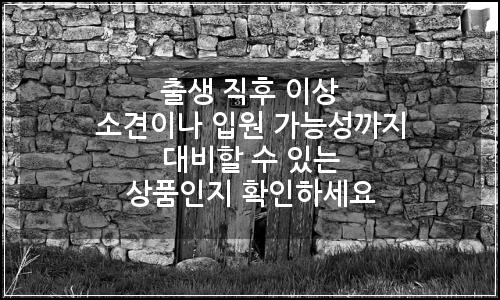 오늘의 이미지