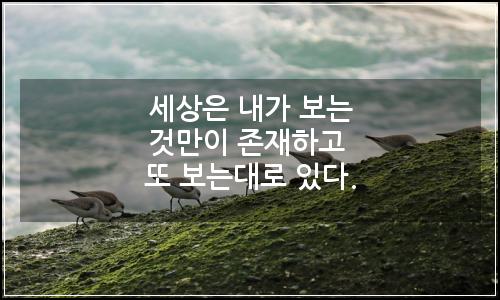 오늘의 이미지