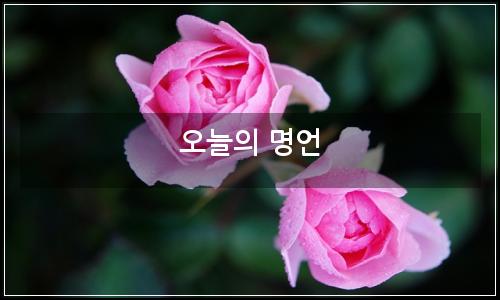 오늘의 이미지