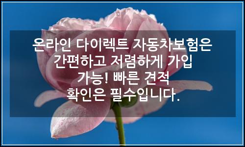오늘의 이미지