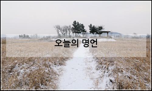 오늘의 이미지