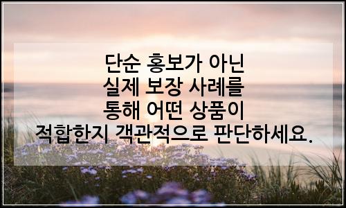 오늘의 이미지