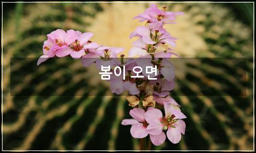 오늘의 이미지