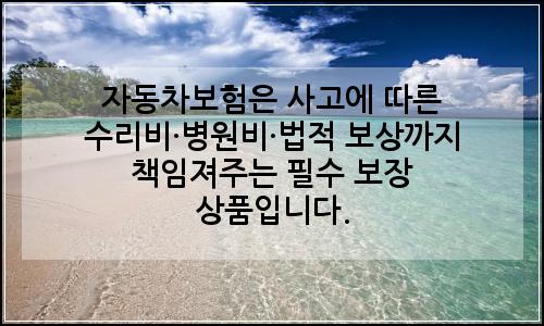 오늘의 이미지