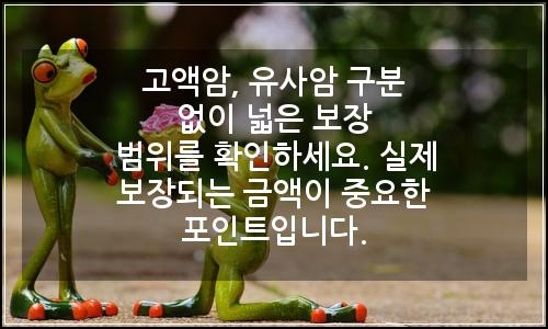 오늘의 이미지