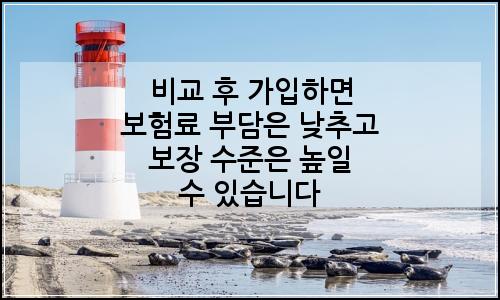 오늘의 이미지