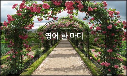 오늘의 이미지