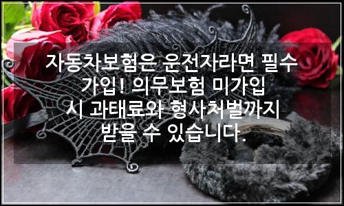 오늘의 이미지