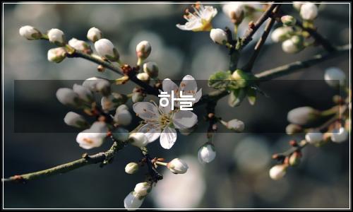 오늘의 이미지