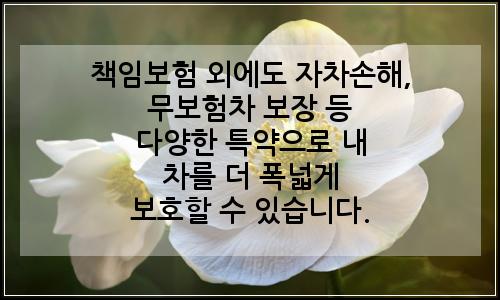 오늘의 이미지
