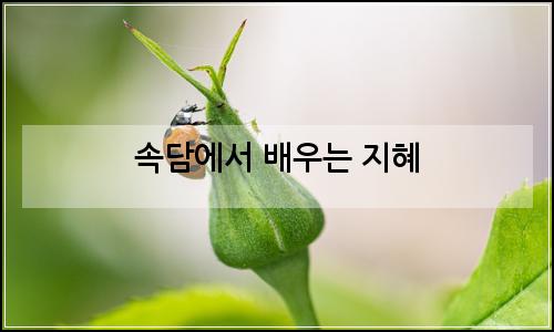 오늘의 이미지