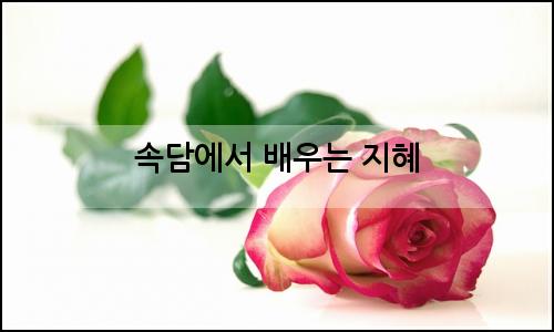 오늘의 이미지